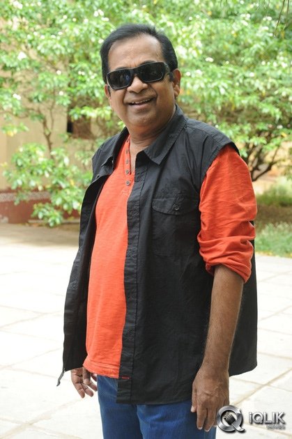 Brahmanandam-About-Alludu-Seenu-Movie